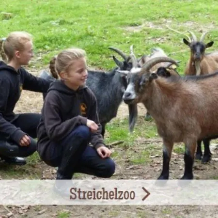 Bernsteinreiter Erlebnishof Barth, Blockhutte 22 호텔