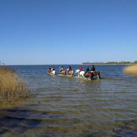 Bernsteinreiter Erlebnishof Barth, Blockhutte 22 호텔