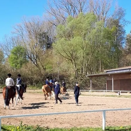 호텔 Bernsteinreiter Erlebnishof Barth, Blockhutte 22 *